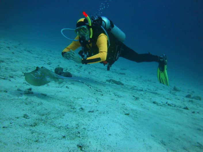 Auf Du und Du mit einem Blaupunktrochen vor den Similan Islands
