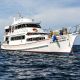 Tauchschiff Manta Queen 6