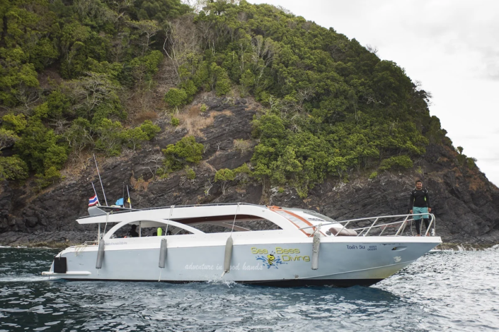 Zubringerboot Tagestour zur Stingray